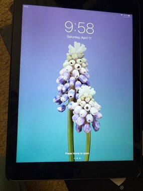 64 GB Apple iPad Air
